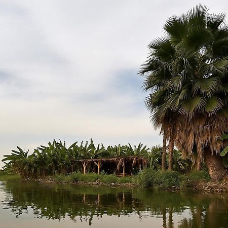 Il Campo Boutique Ecolodge El Hawamdeya Exterior photo